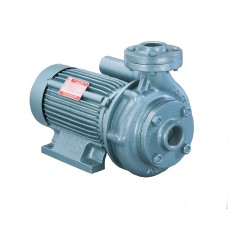  Single Phase Monoblock Pumps (ACS)